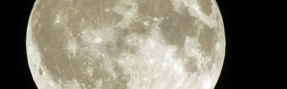 Infobanner 05